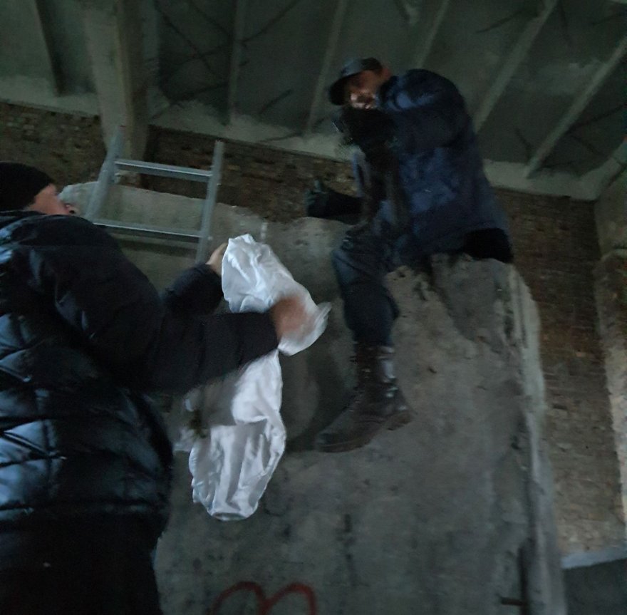 Рогозівські пожежники врятували двох кошенят, яких викинули помирати