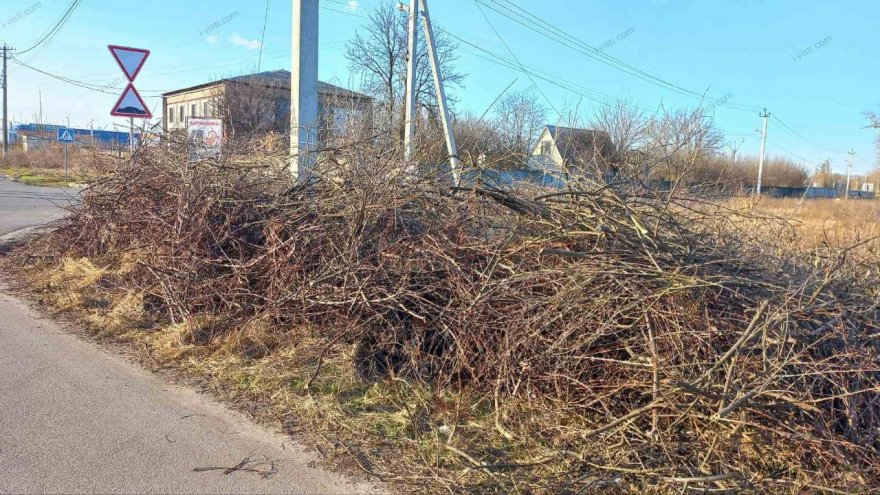 Кому прибирати сміття на вулиці Чумацькій? Кому прибирати сміття на вулиці Чумацькій?