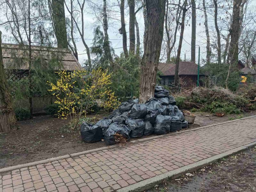 Вивезення відходів садівництва і городництва: у Борисполі та його американському побратимі Хопкінсі