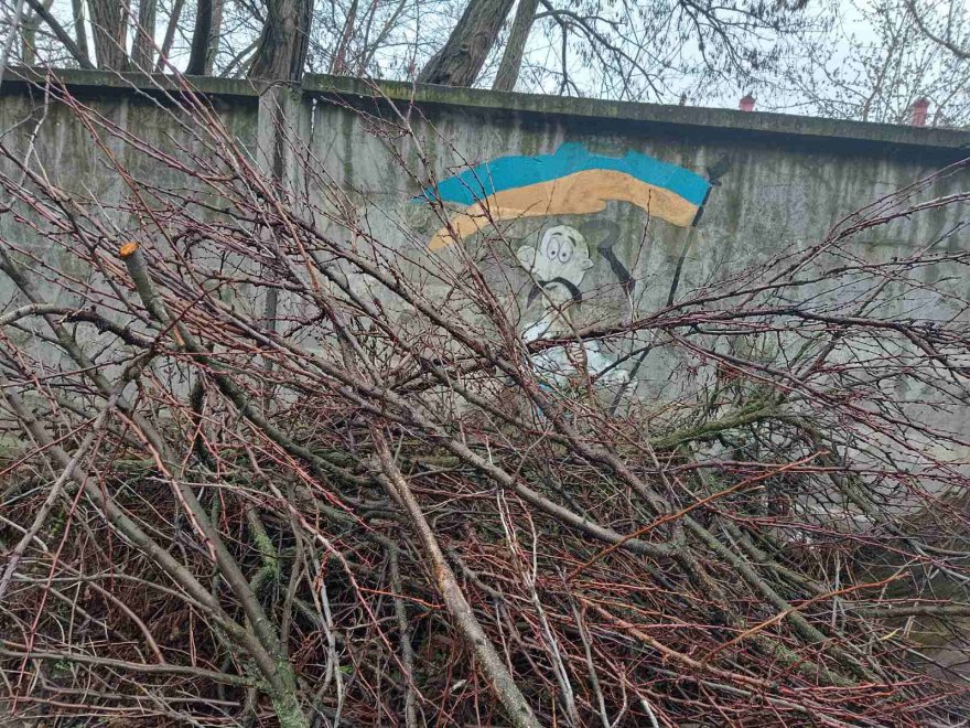 Вивезення відходів садівництва і городництва: у Борисполі та його американському побратимі Хопкінсі