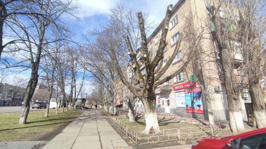 Врятувати бориспільські дерева: місія НЕможлива? Врятувати бориспільські дерева: місія НЕможлива?