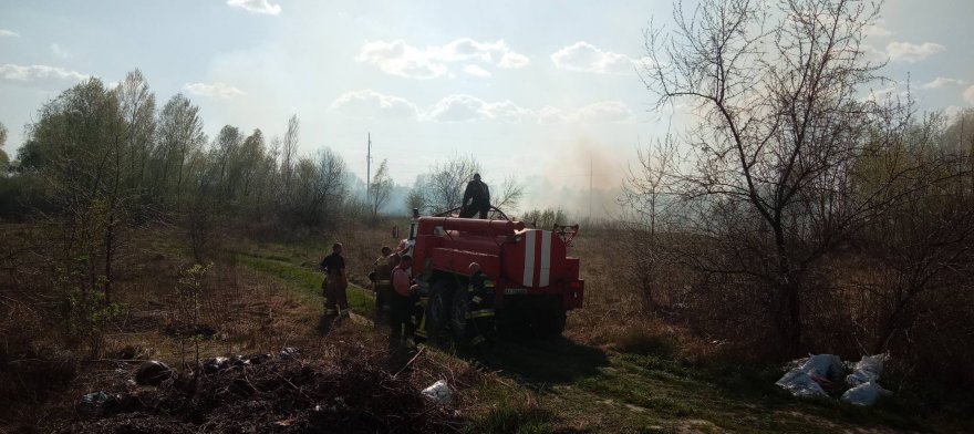 Знову підпали: тепер і в лісах Знову підпали: тепер і в лісах
