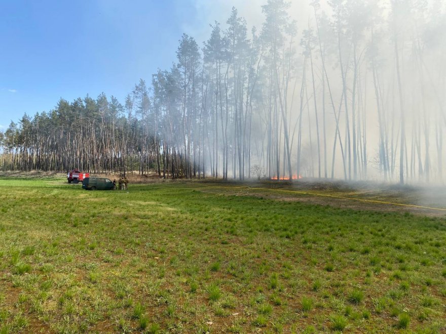 Знову підпали: тепер і в лісах Знову підпали: тепер і в лісах