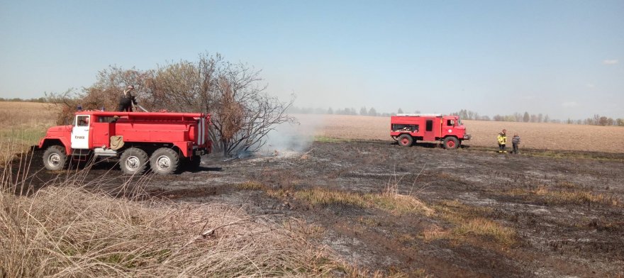 Знову підпали: тепер і в лісах Знову підпали: тепер і в лісах