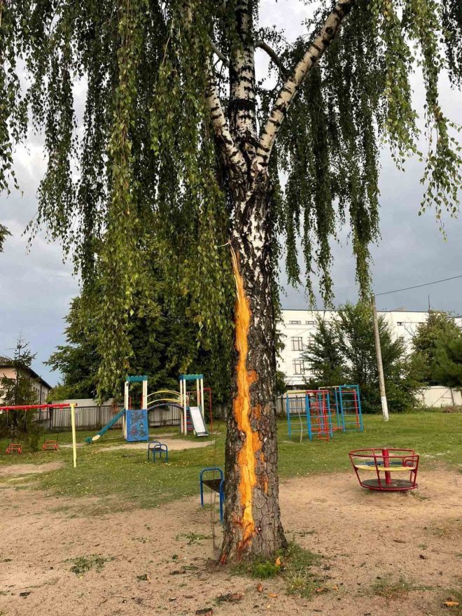 У Горі блискавка влучила в дерево на дитячому майданчику