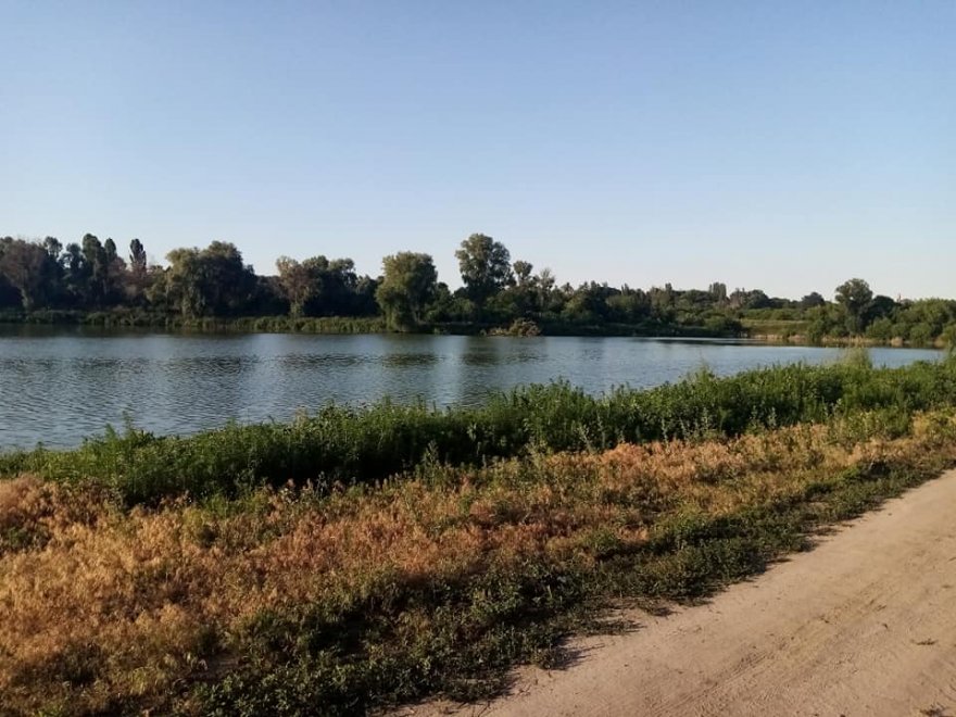 Мешканець Старого відстояв для громади ставок Мешканець Старого відстояв для громади ставок
