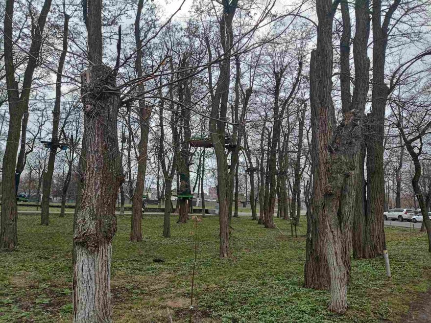 Замість реконструкції — ремонт? Парк у Борисполі хочуть капітально відремонтувати Замість реконструкції — ремонт? Парк у Борисполі хочуть капітально відремонтувати