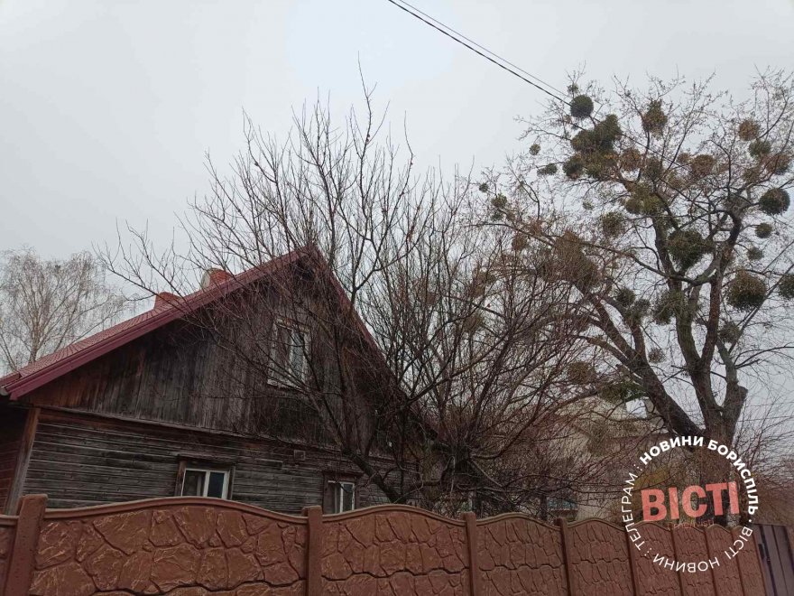 Яким було Соцмістечко 60 років тому Яким було Соцмістечко 60 років тому