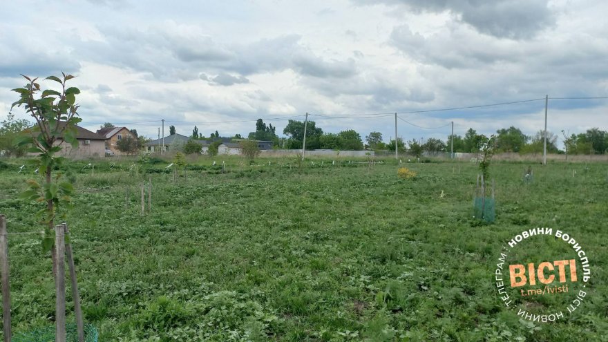 Зелену зону біля окружної передали на баланс КП «ВУКГ» Зелену зону біля окружної передали на баланс КП «ВУКГ»