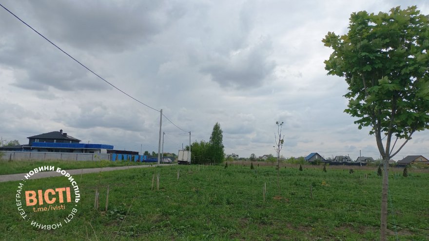 Зелену зону біля окружної передали на баланс КП «ВУКГ» Зелену зону біля окружної передали на баланс КП «ВУКГ»