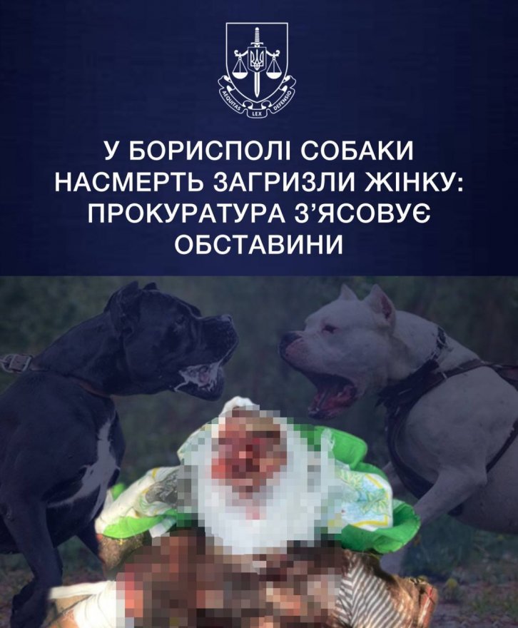 У Борисполі собаки насмерть загризли 79-річну жінку – власницю тварин затримали У Борисполі собаки насмерть загризли 79-річну жінку – власницю тварин затримали