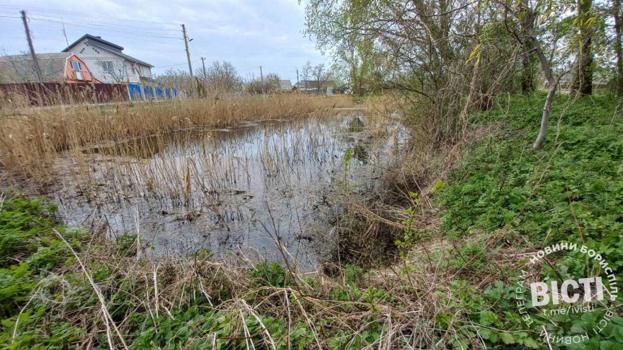 Бориспільський парк «Нестерівка»: мрія, відкладена війною
