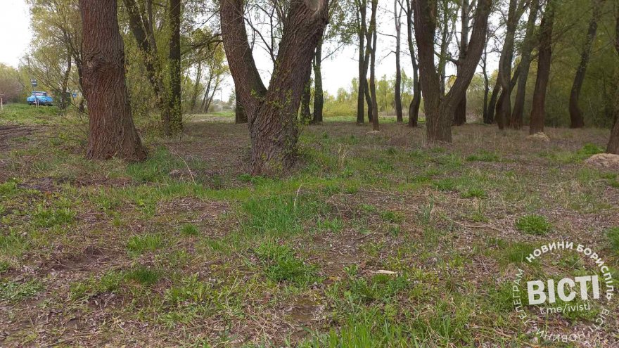 Бориспільський парк «Нестерівка»: мрія, відкладена війною
