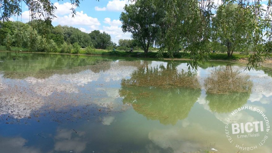 Бориспільський парк «Нестерівка»: мрія, відкладена війною