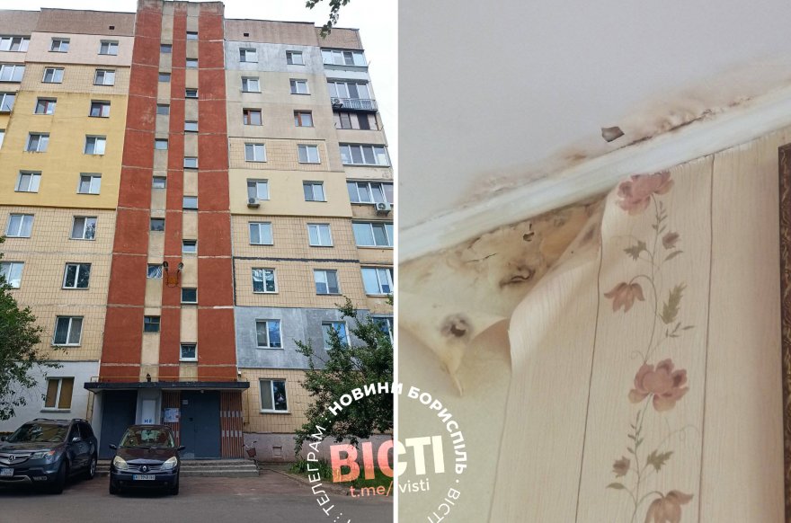 Багатоповерхівка в Борисполі вже 10 років потерпає від смороду. Чи винні коти? Багатоповерхівка в Борисполі вже 10 років потерпає від смороду. Чи винні коти?