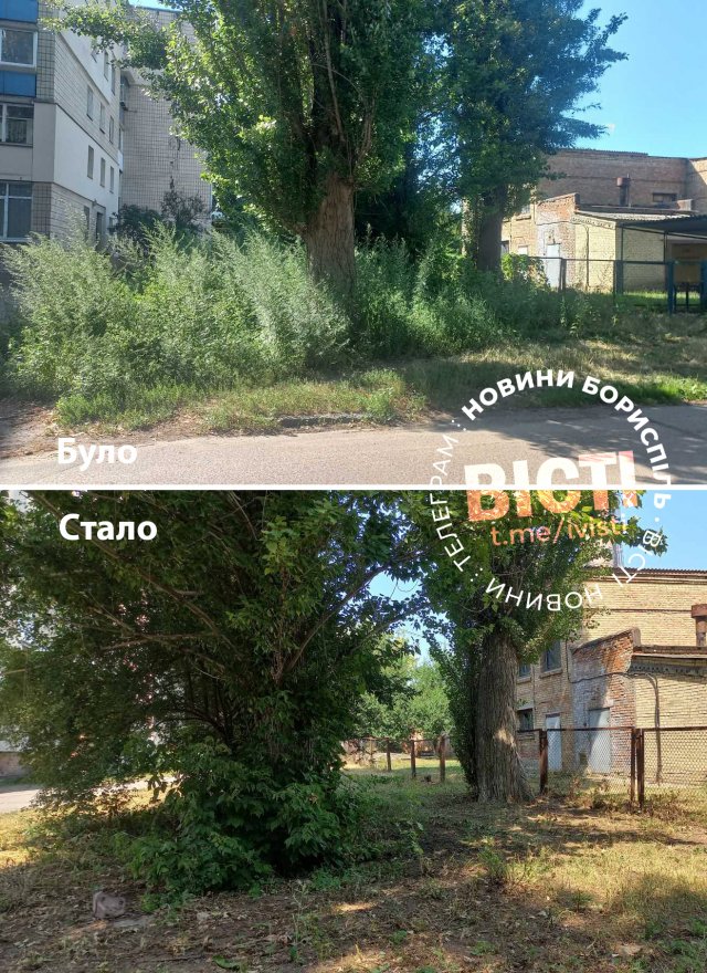 Кому косити бур’яни біля котельні на Глібова?