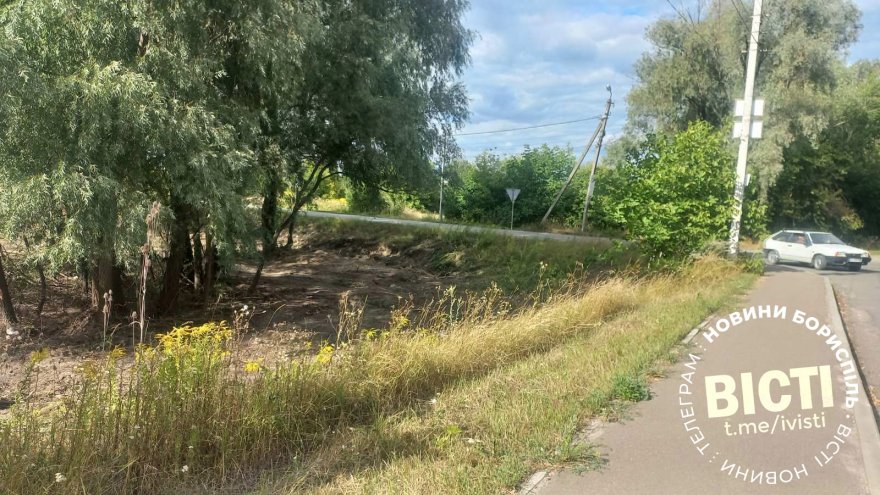Чому не косять траву у Нестерівці? Чому не косять траву у Нестерівці?
