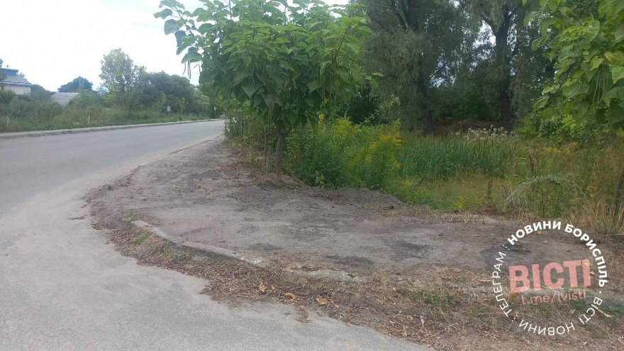 Чому не косять траву у Нестерівці? Чому не косять траву у Нестерівці?