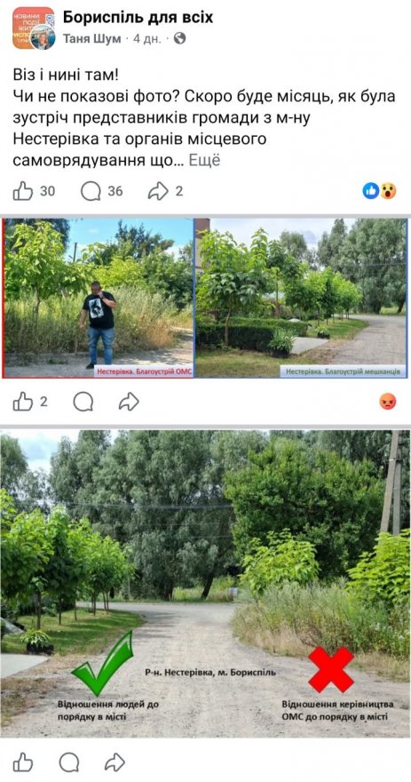 Чому не косять траву у Нестерівці?