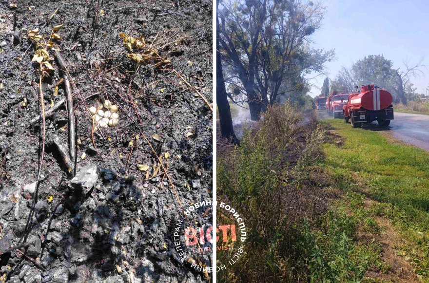 Гарячий тиждень для бориспільських вогнеборців