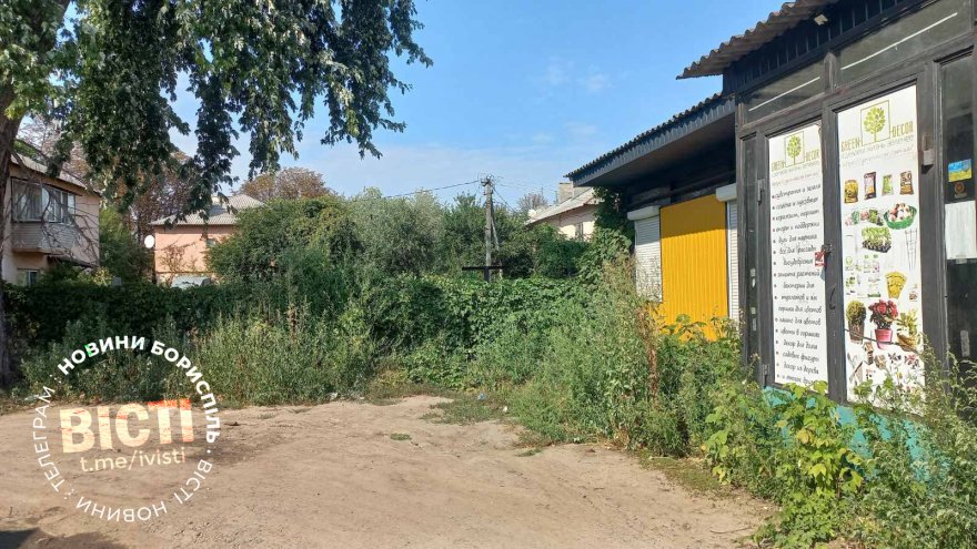 Дитячий майданчик на вул. Володимира Малика перетворюється на хащі